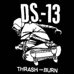 Demon System 13 : Thrash and Burn